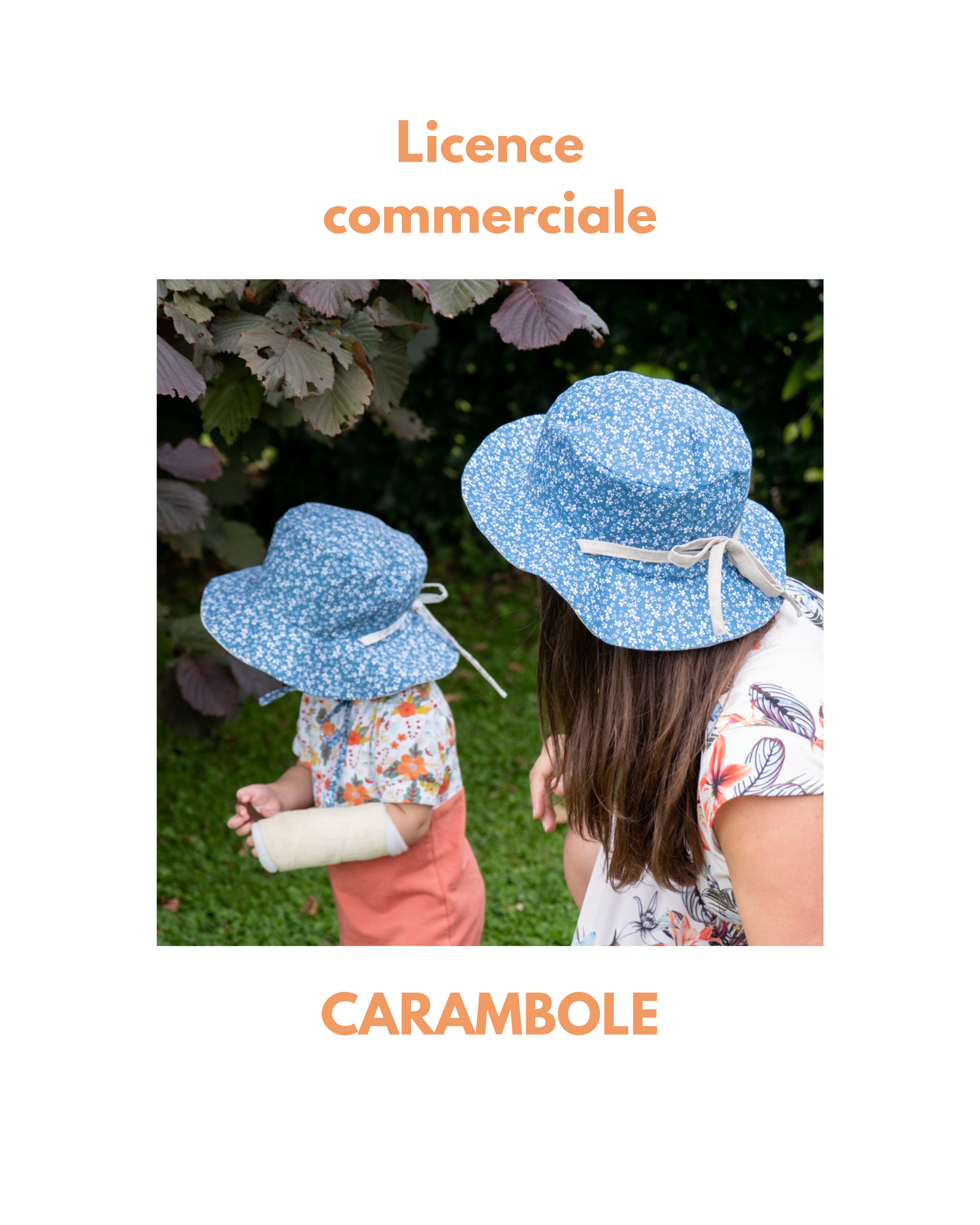 Licence commerciale CARAMBOLE