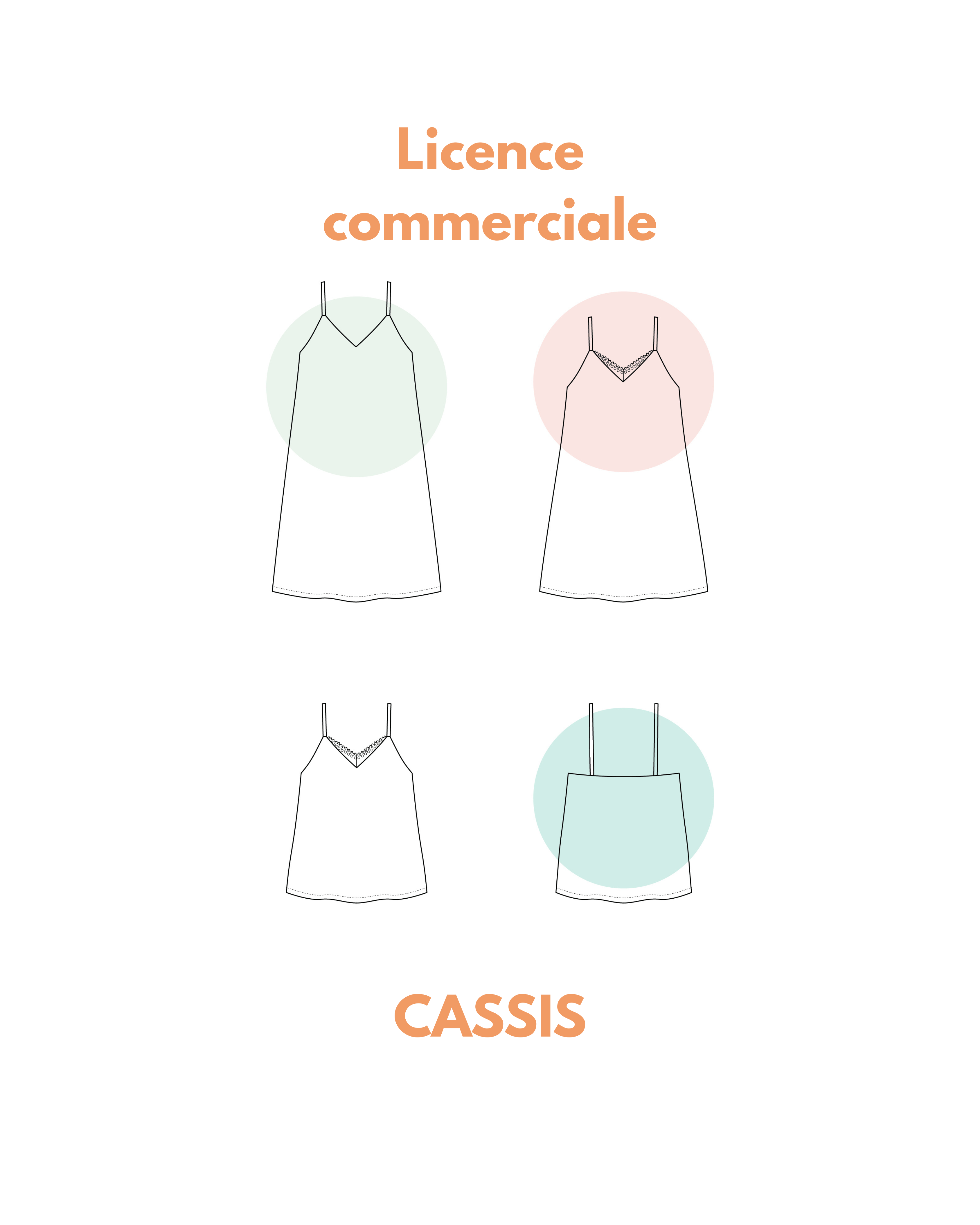Licence commerciale CASSIS