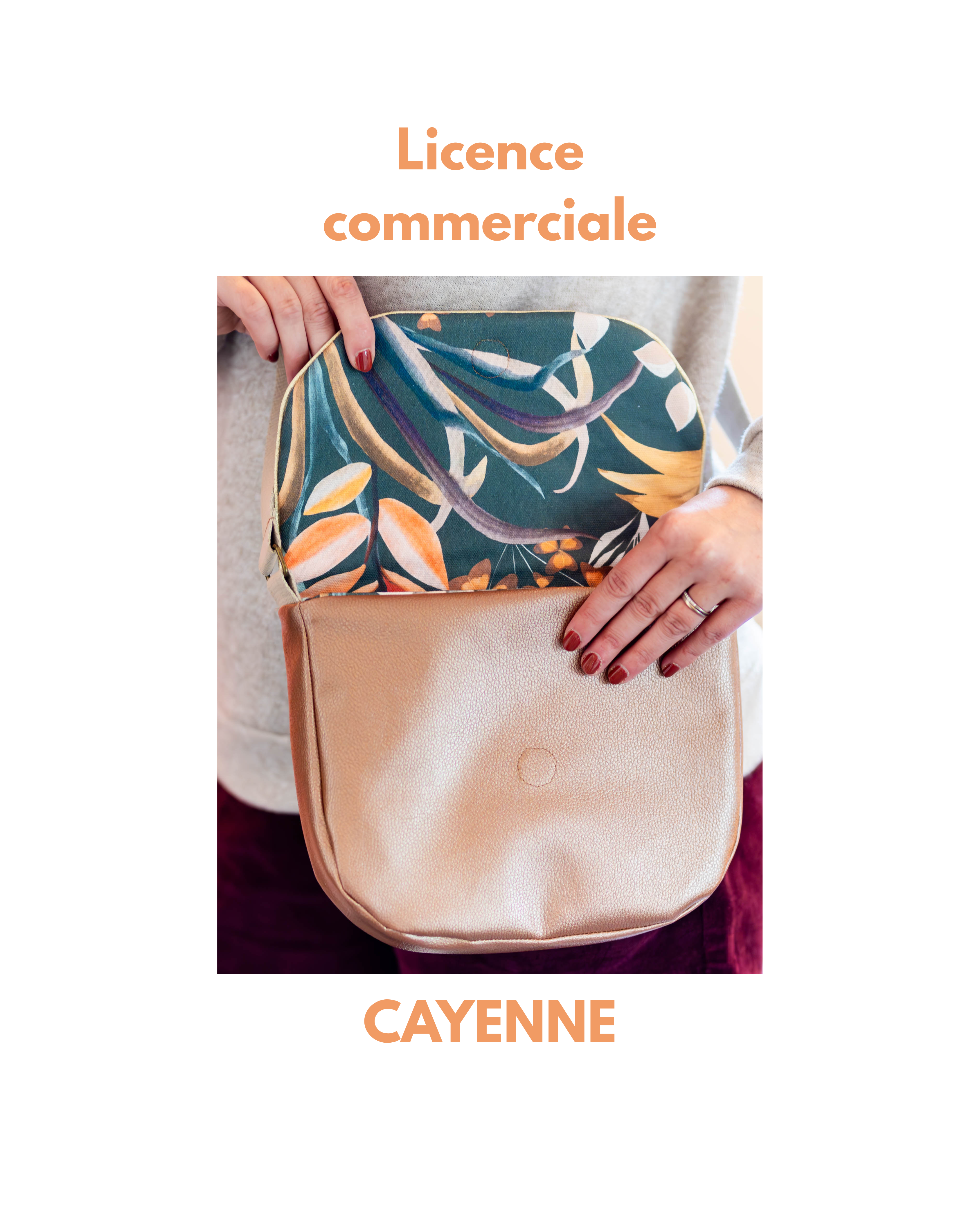 Licence commerciale CAYENNE