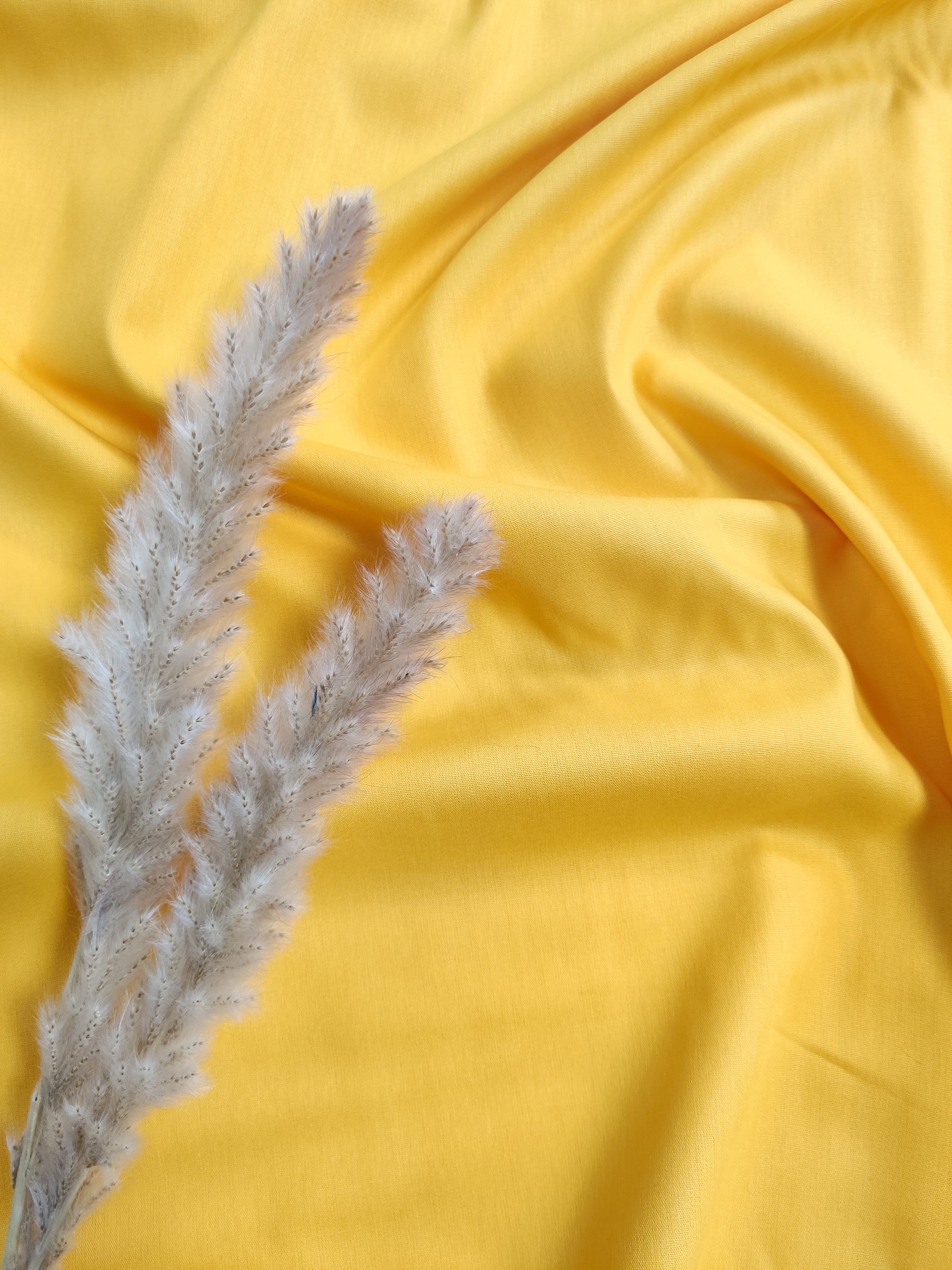 Popeline de Coton - Jaune