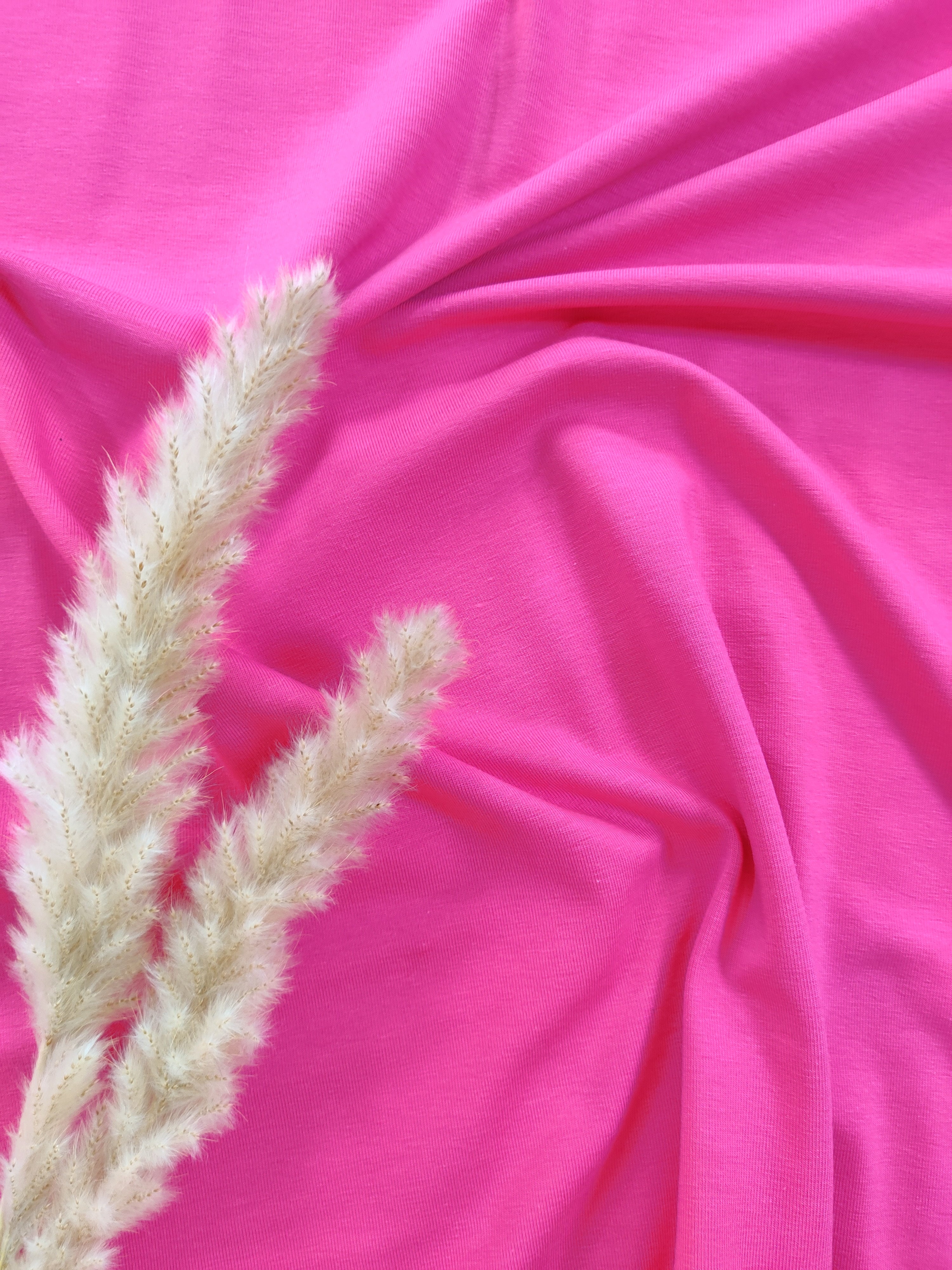 Jersey de coton BIO - Fuschia