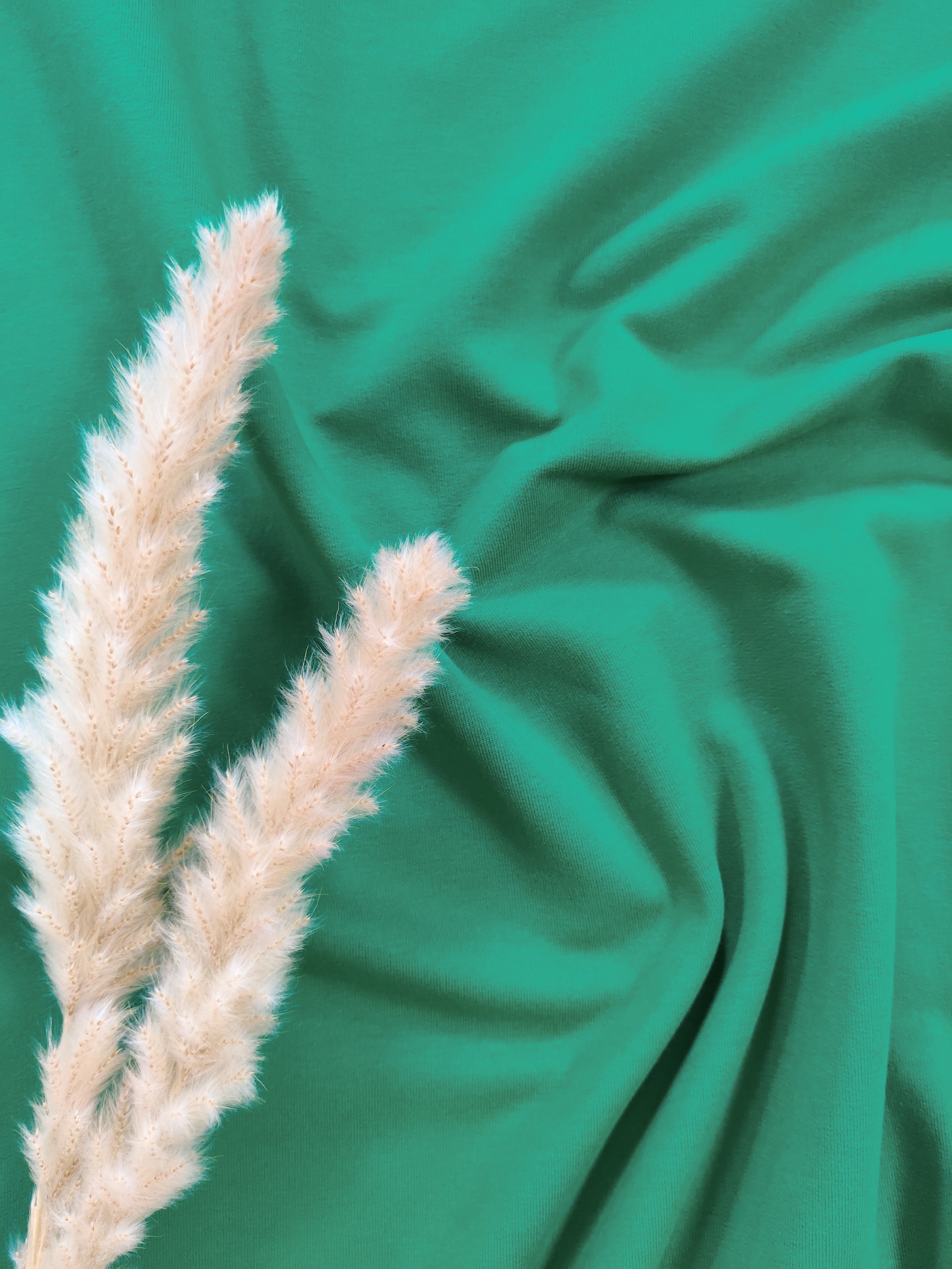 Jersey de coton BIO - Vert peps