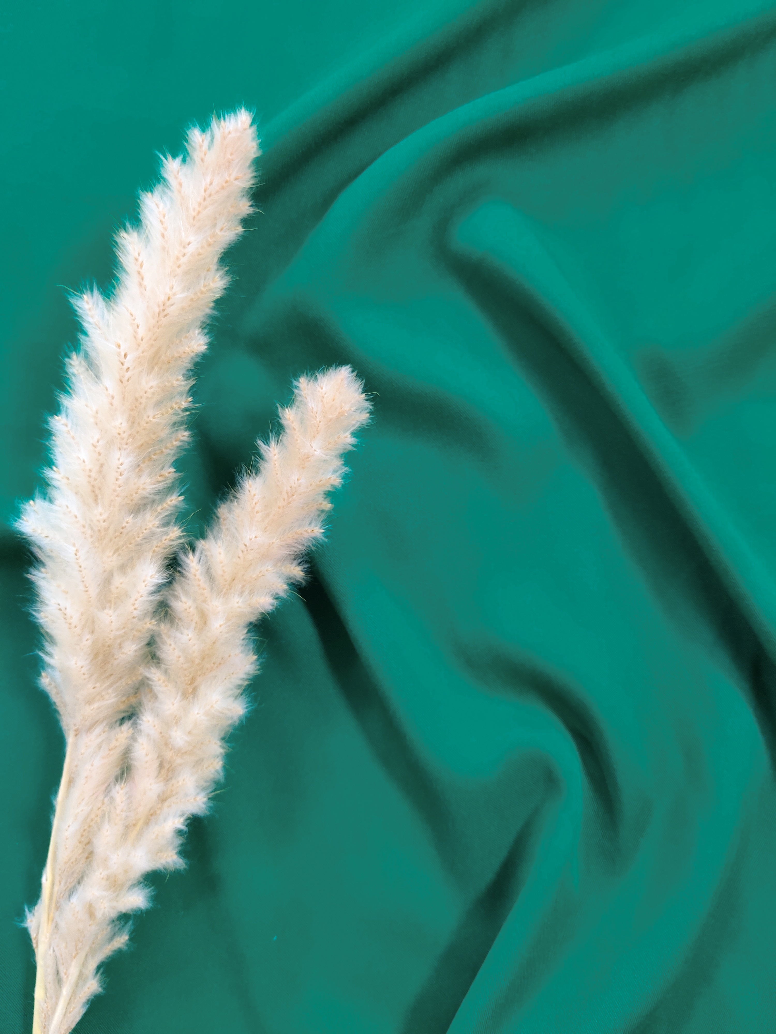 Twill de viscose - Vert bouteille peps