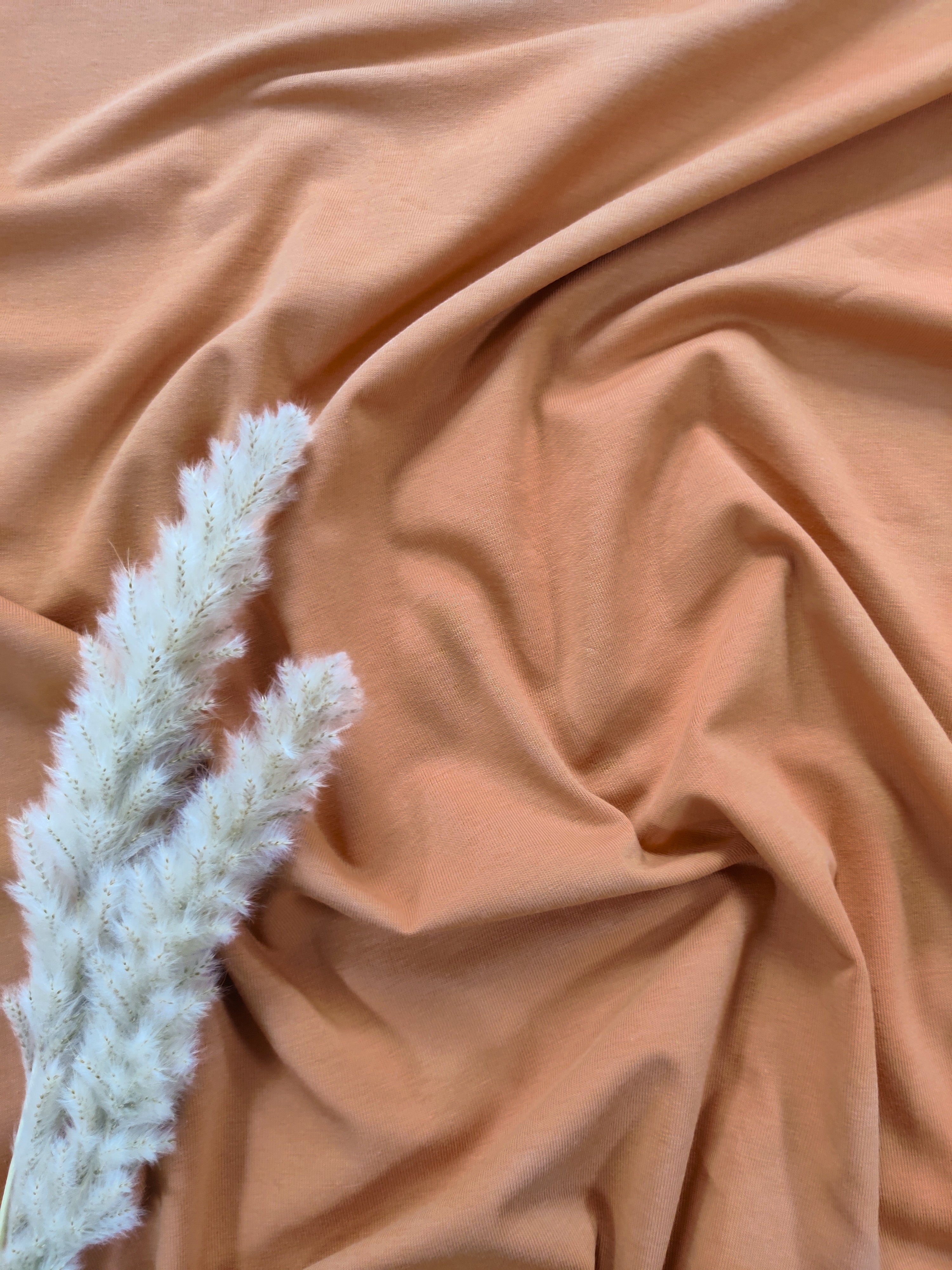 French terry BIO - Orange abricot