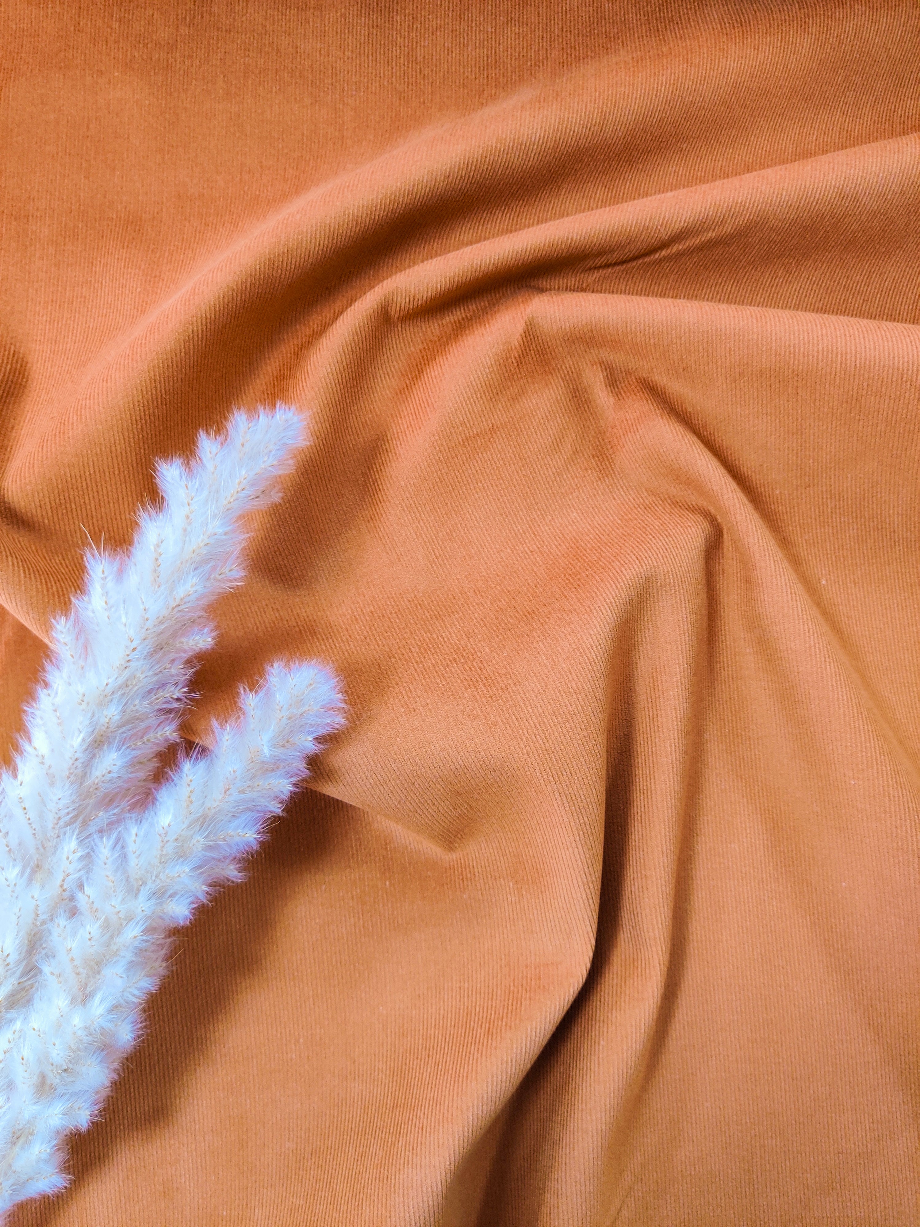 Velours milleraies - Cognac