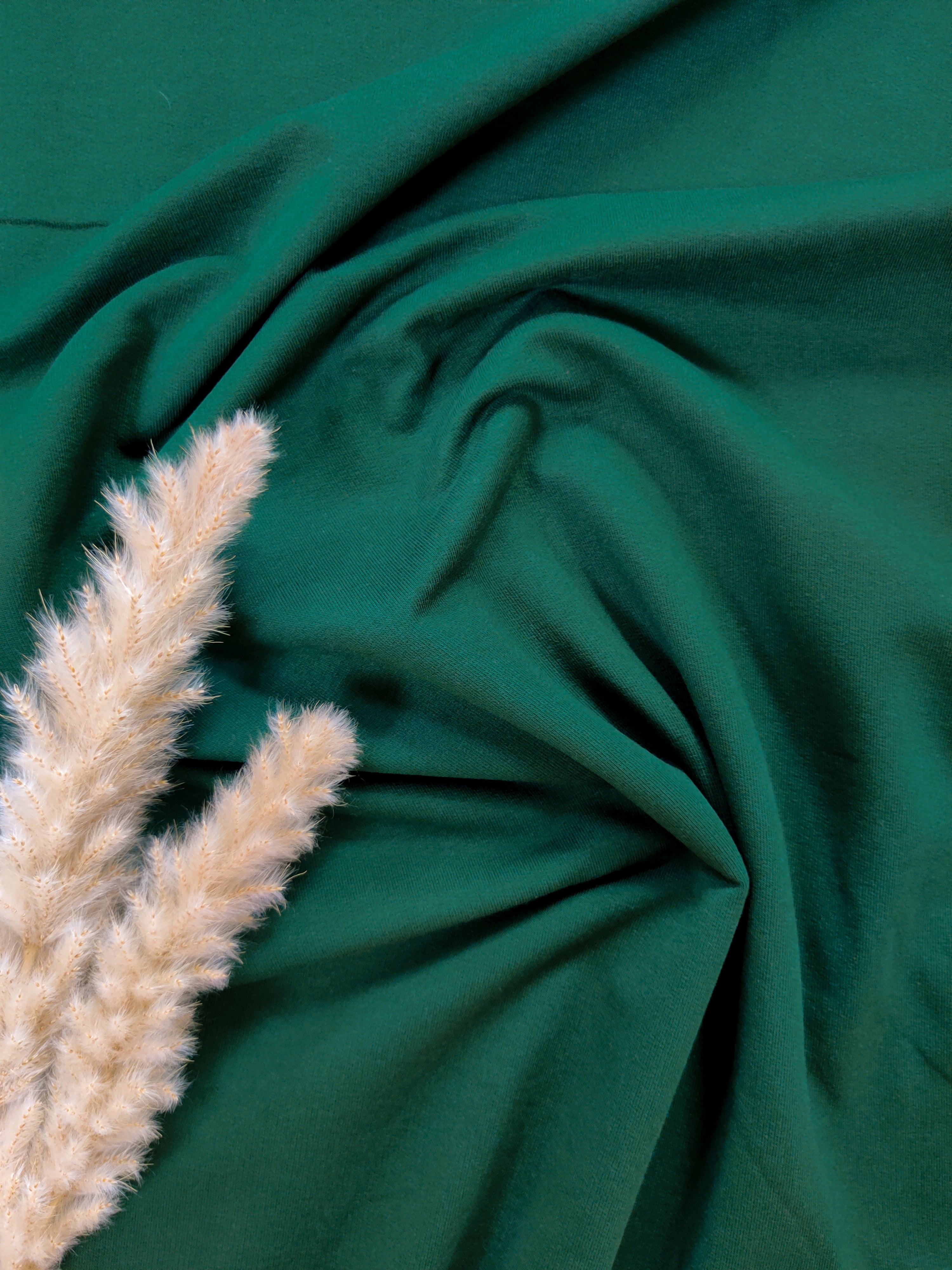 French terry BIO - Vert sapin