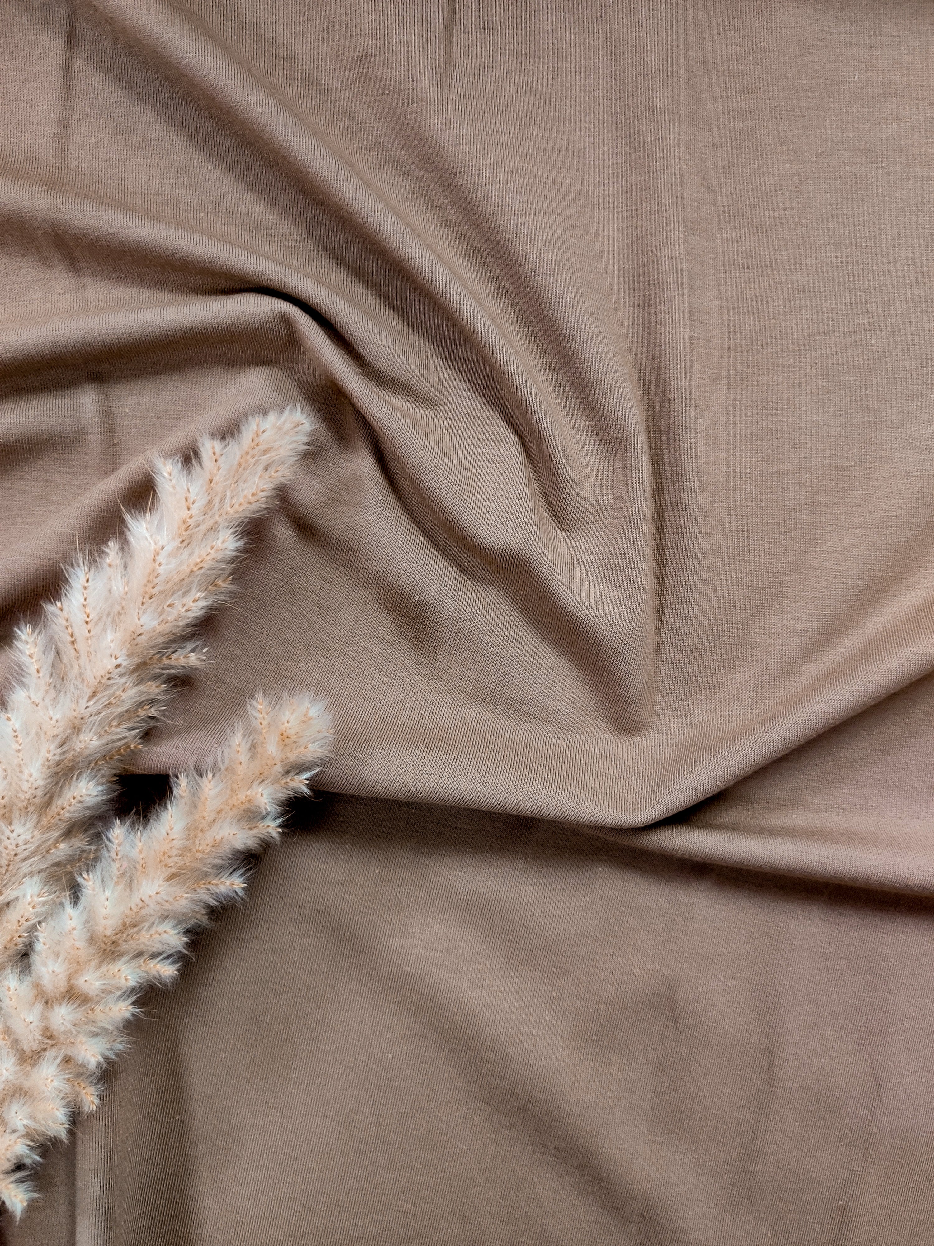 Jersey de coton BIO - Taupe