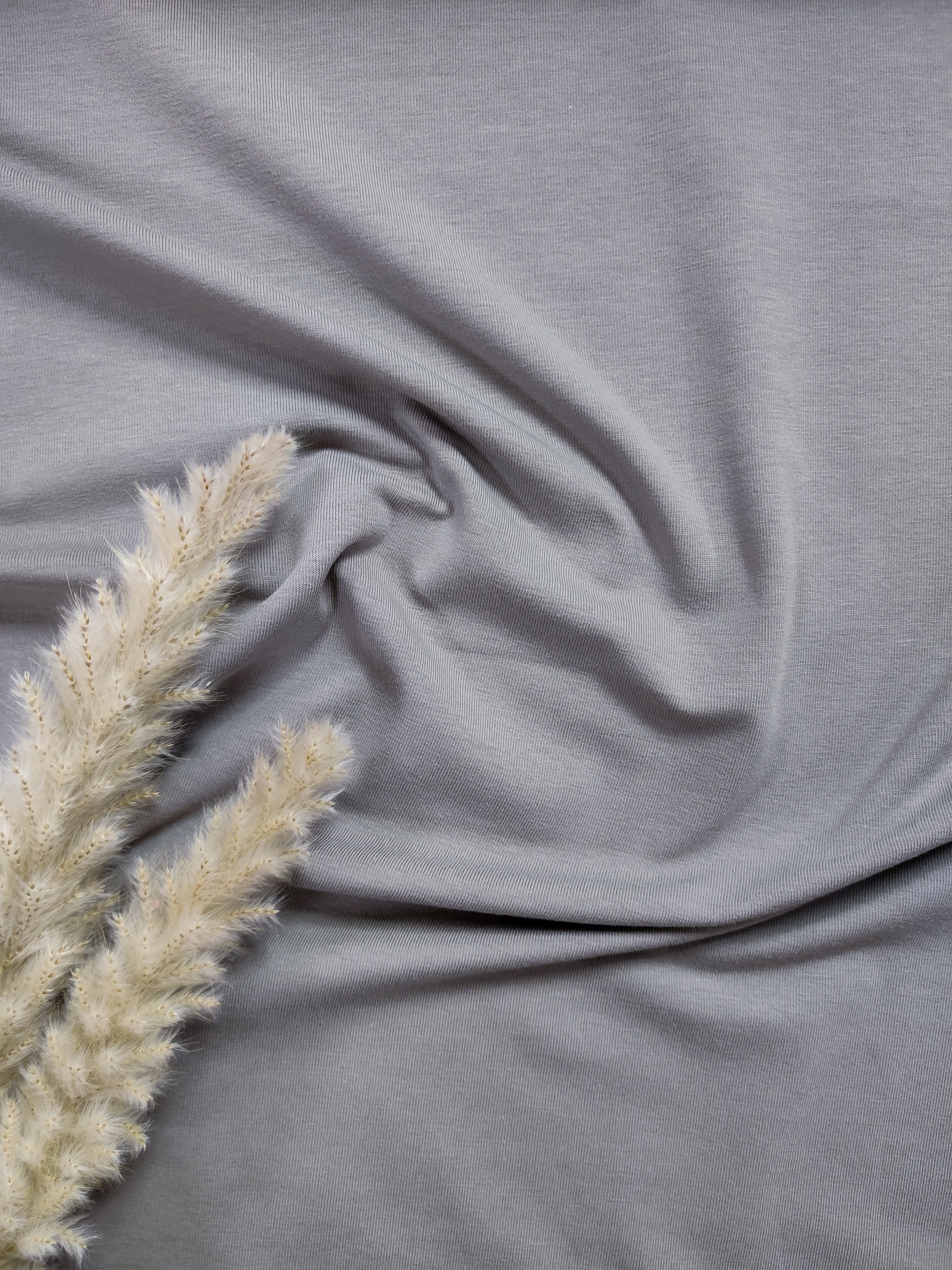 Jersey de coton BIO - Gris souris