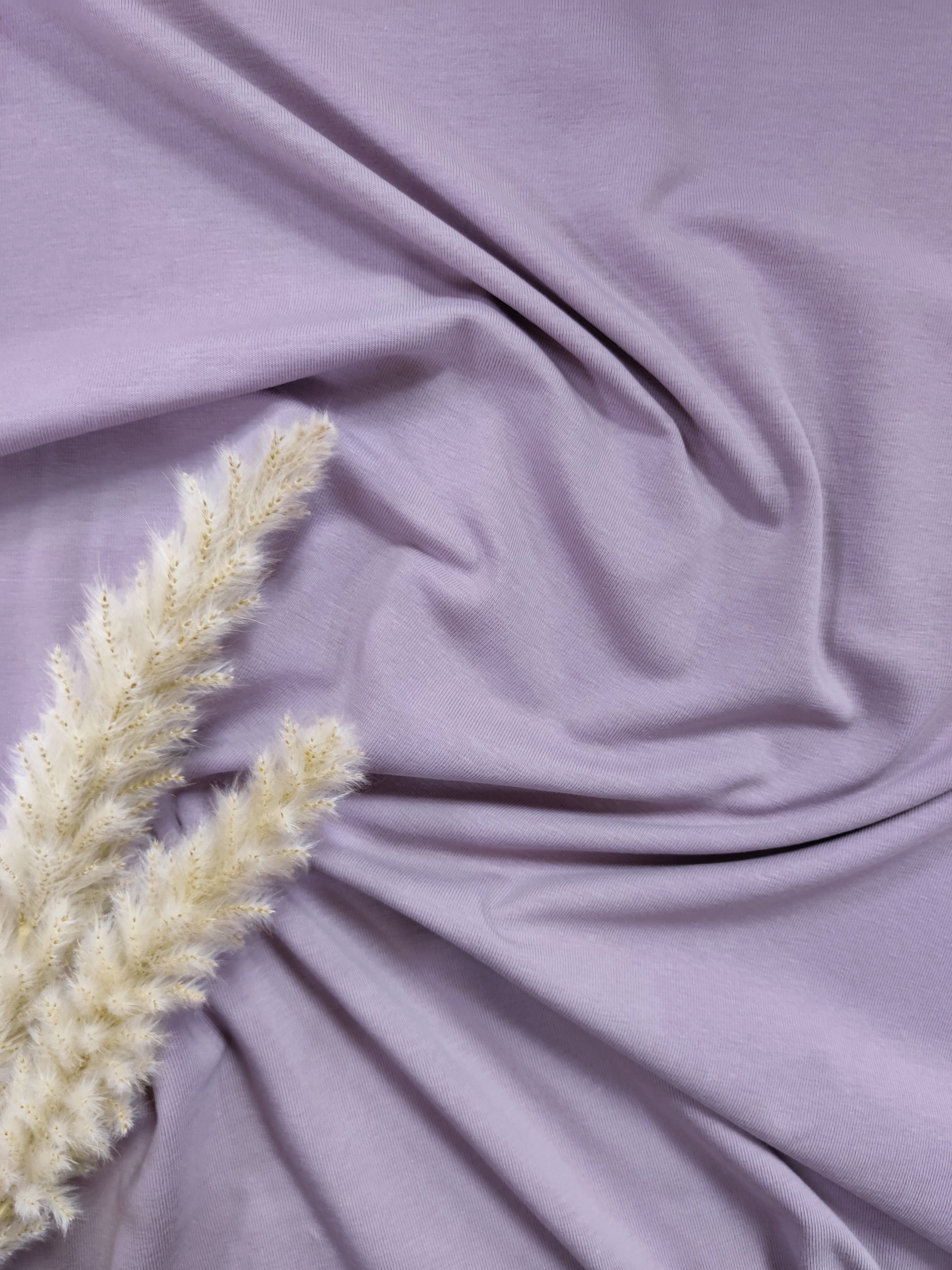 Jersey de coton BIO - Lavande