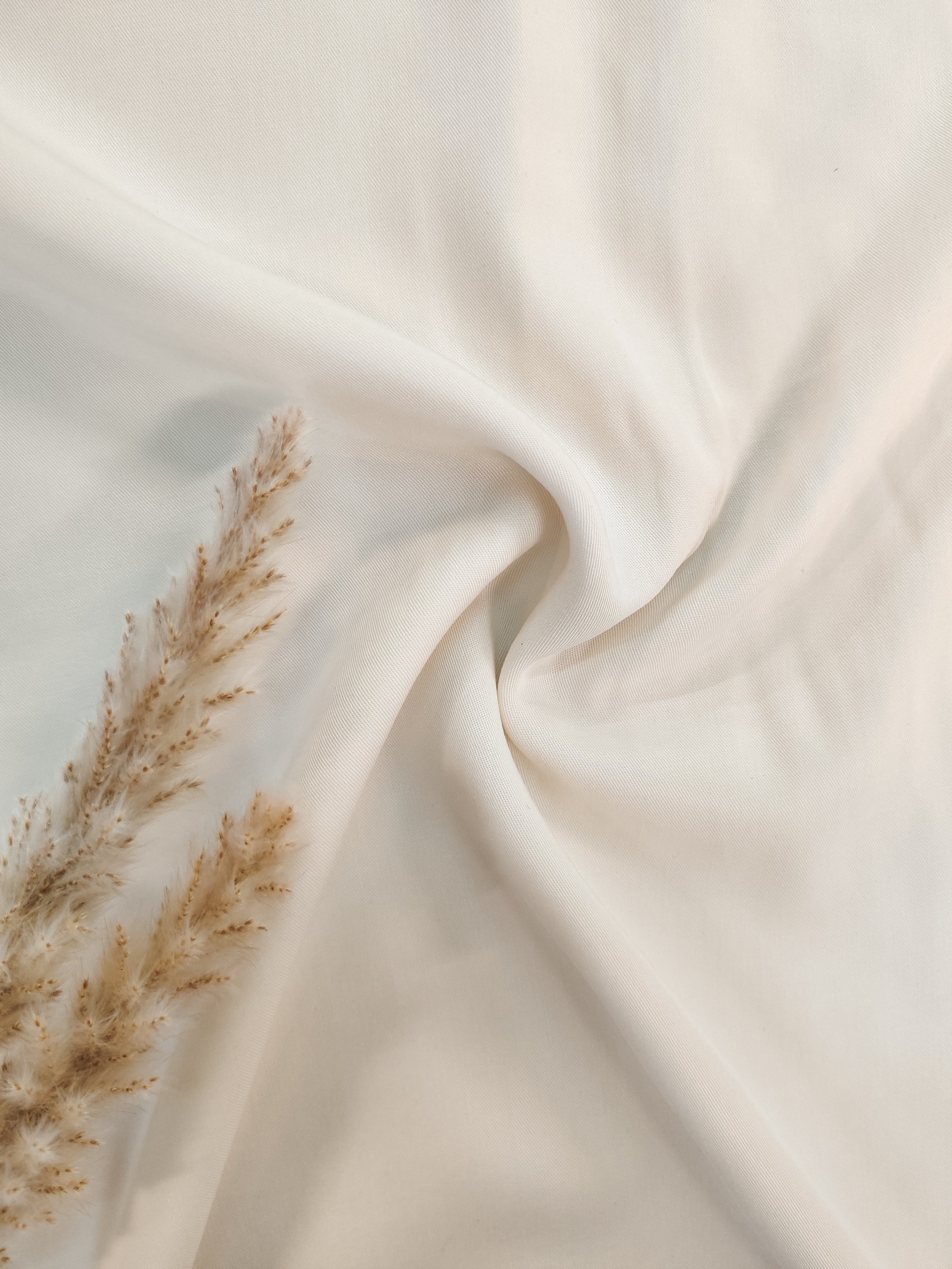 Twill de tencel - Ecru