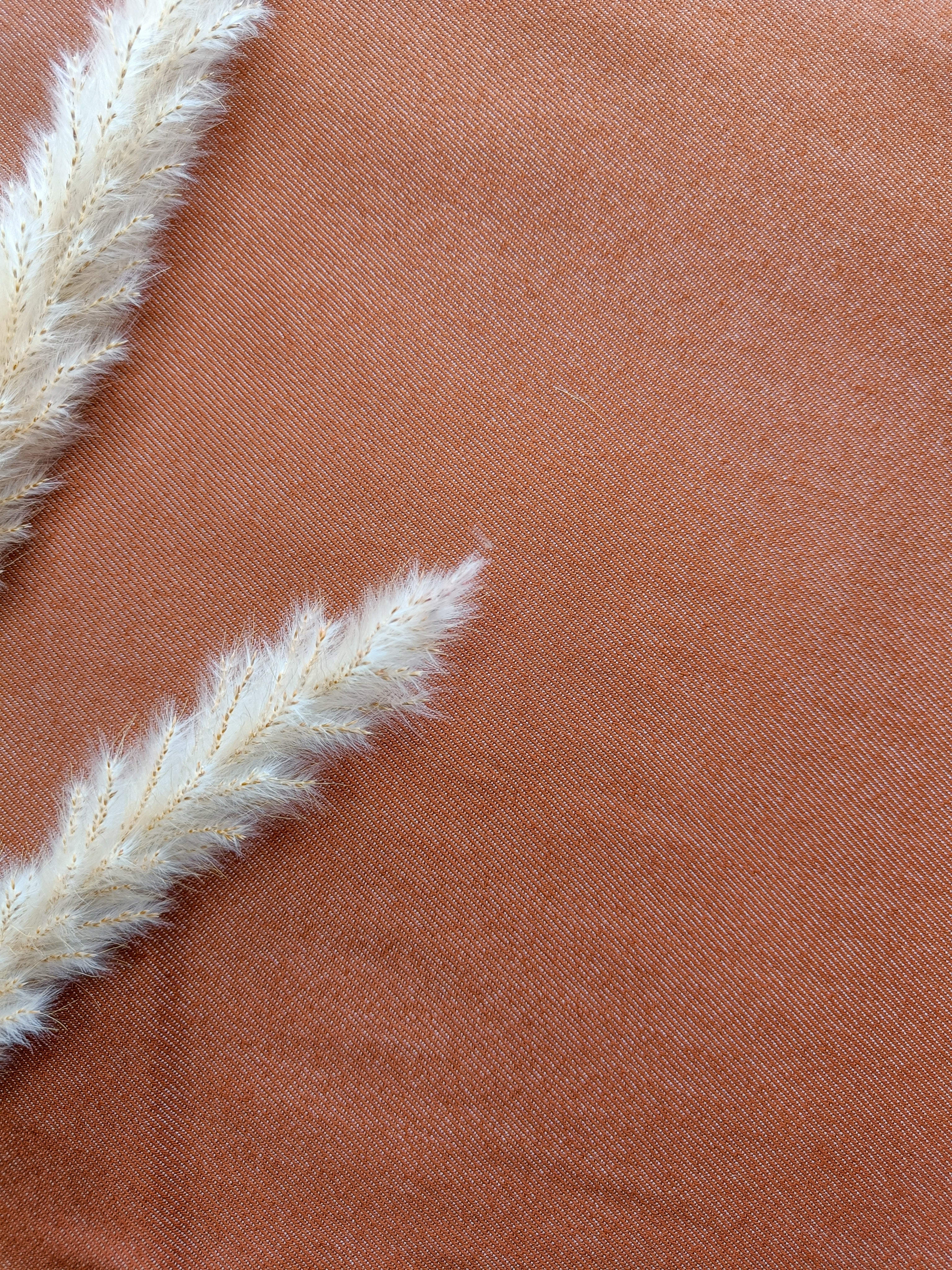 Jeans stretch - Cognac