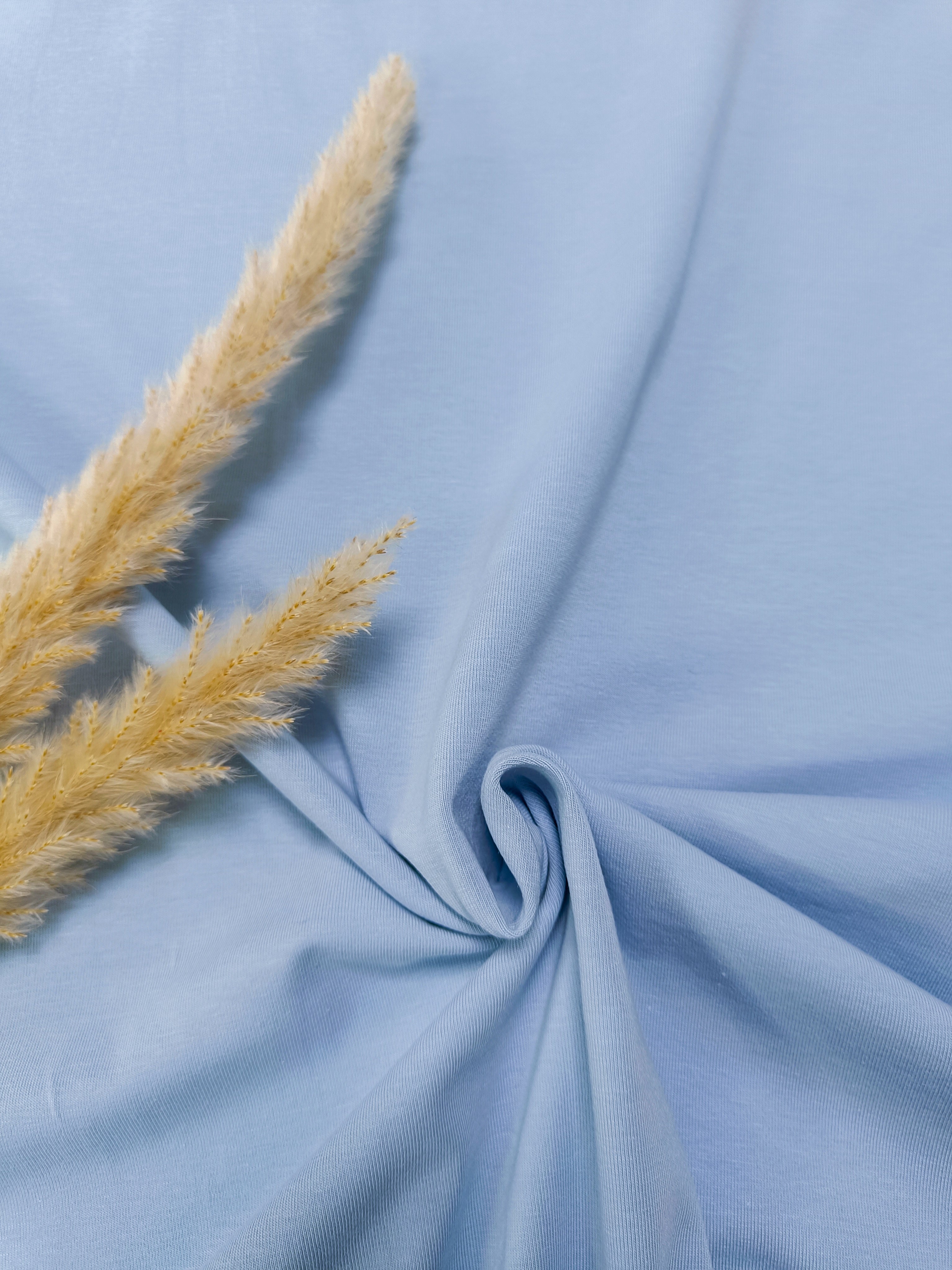 French Terry BIO - bleu clair