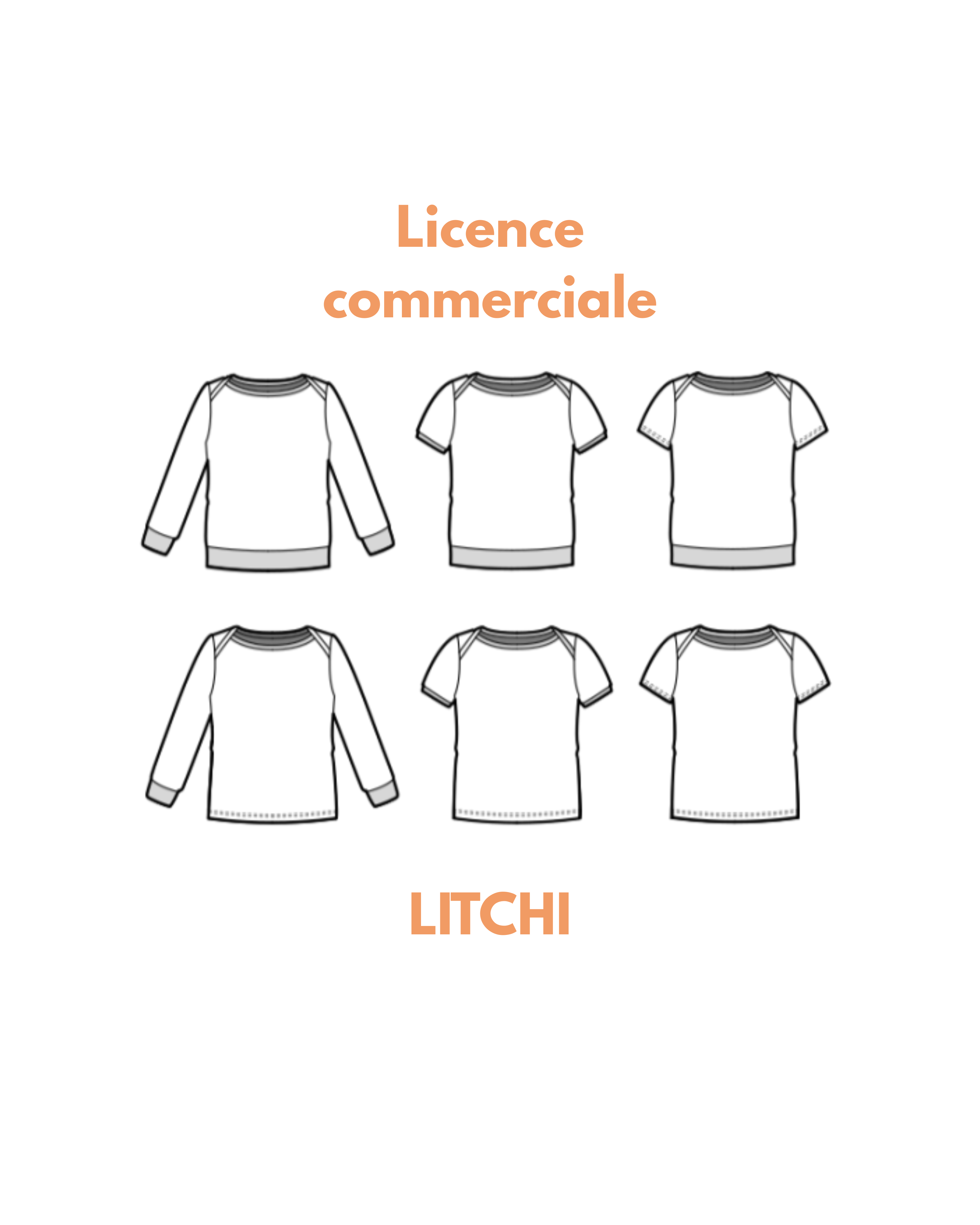 Licence commerciale LITCHI