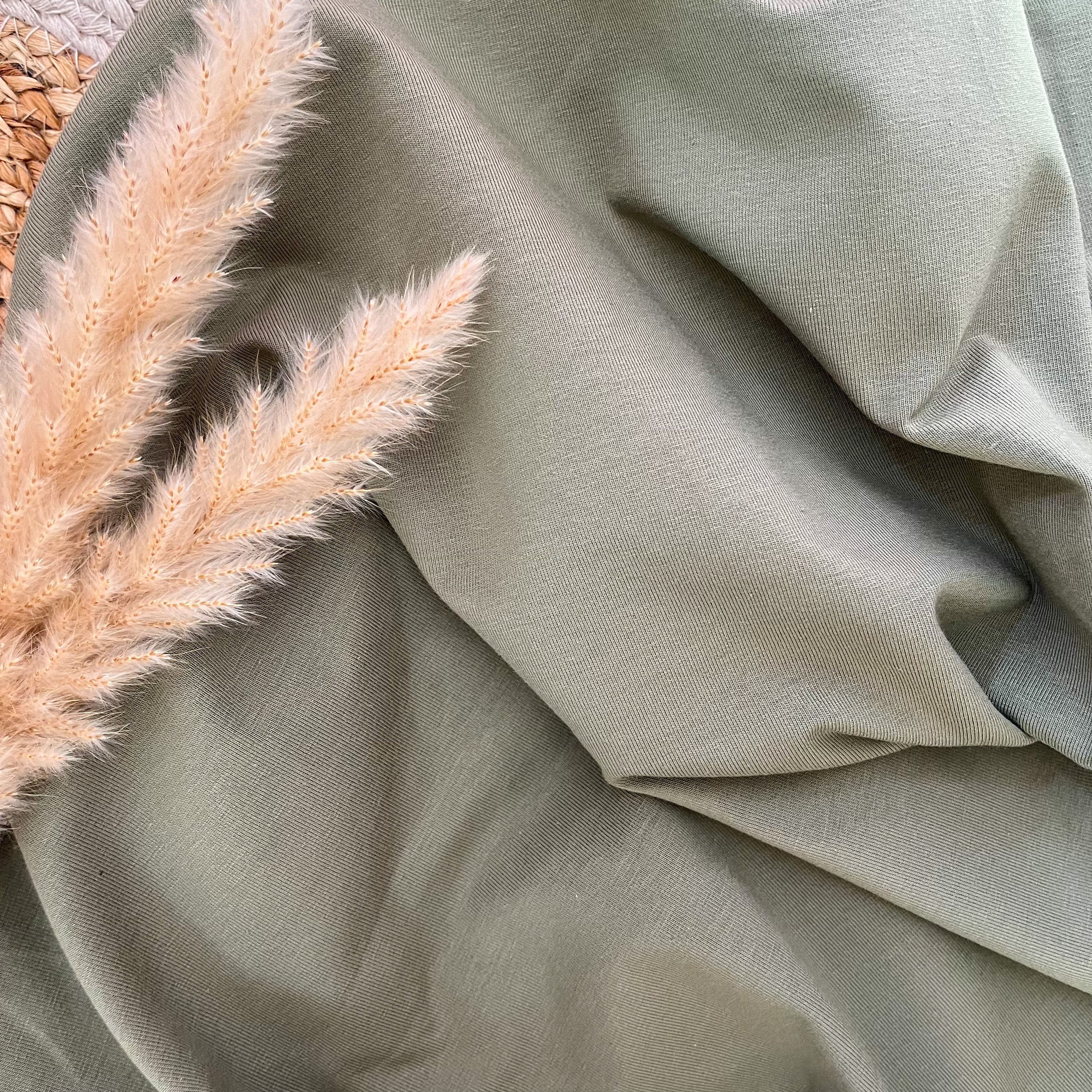 Jersey de coton - Kaki clair