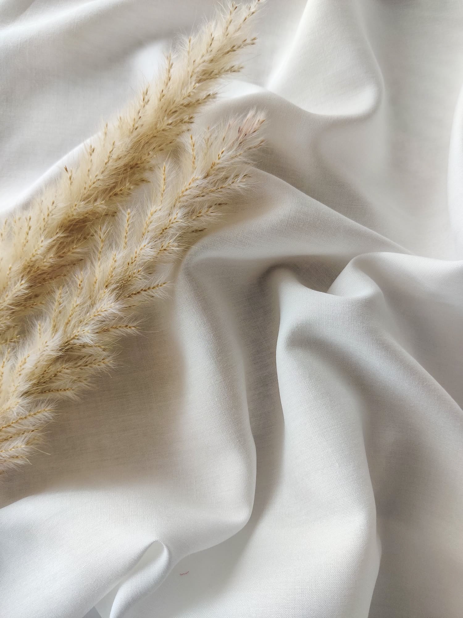 Popeline de viscose - Ecrue