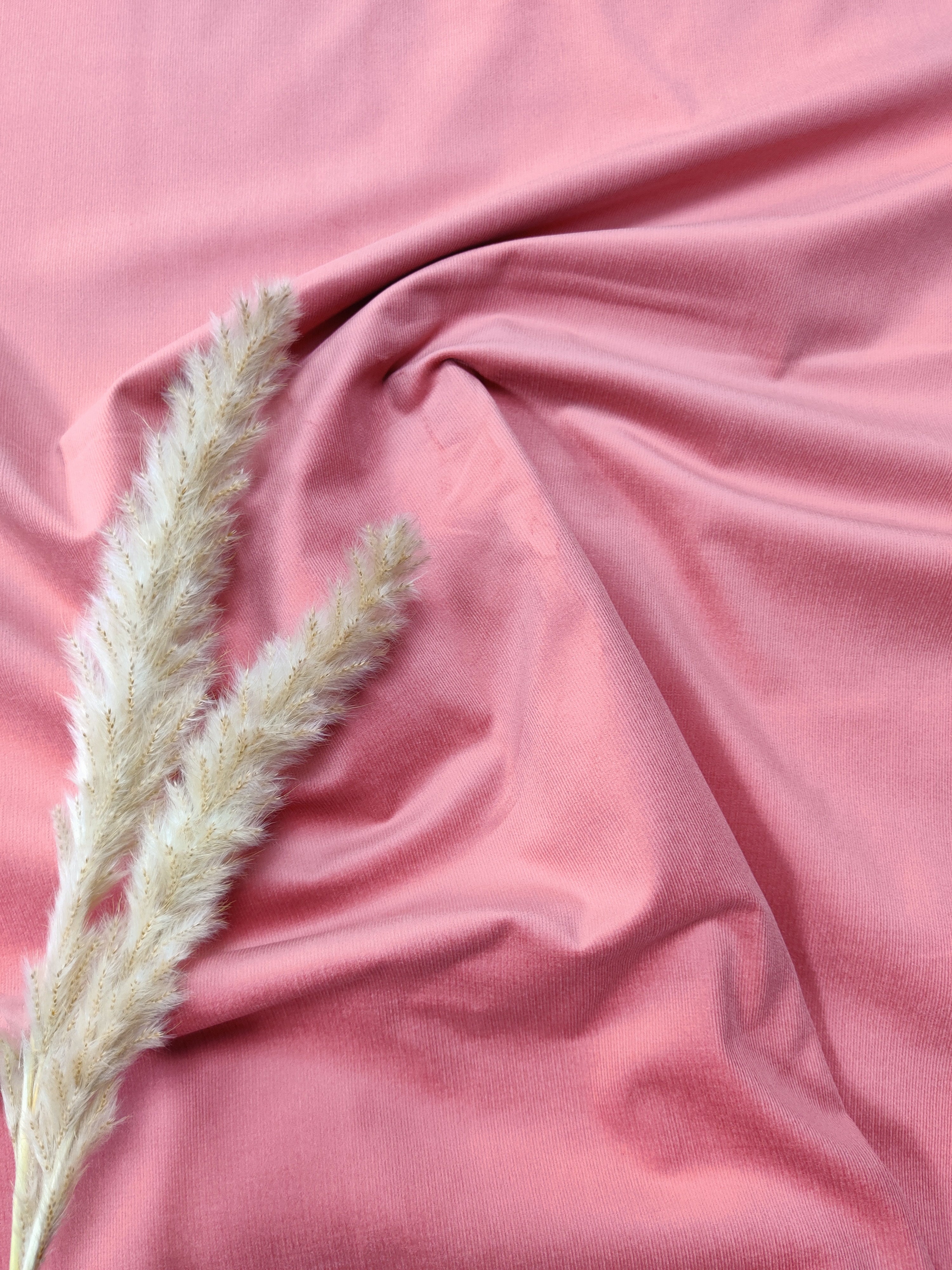 Velours milleraies stretch - Vieux rose foncé