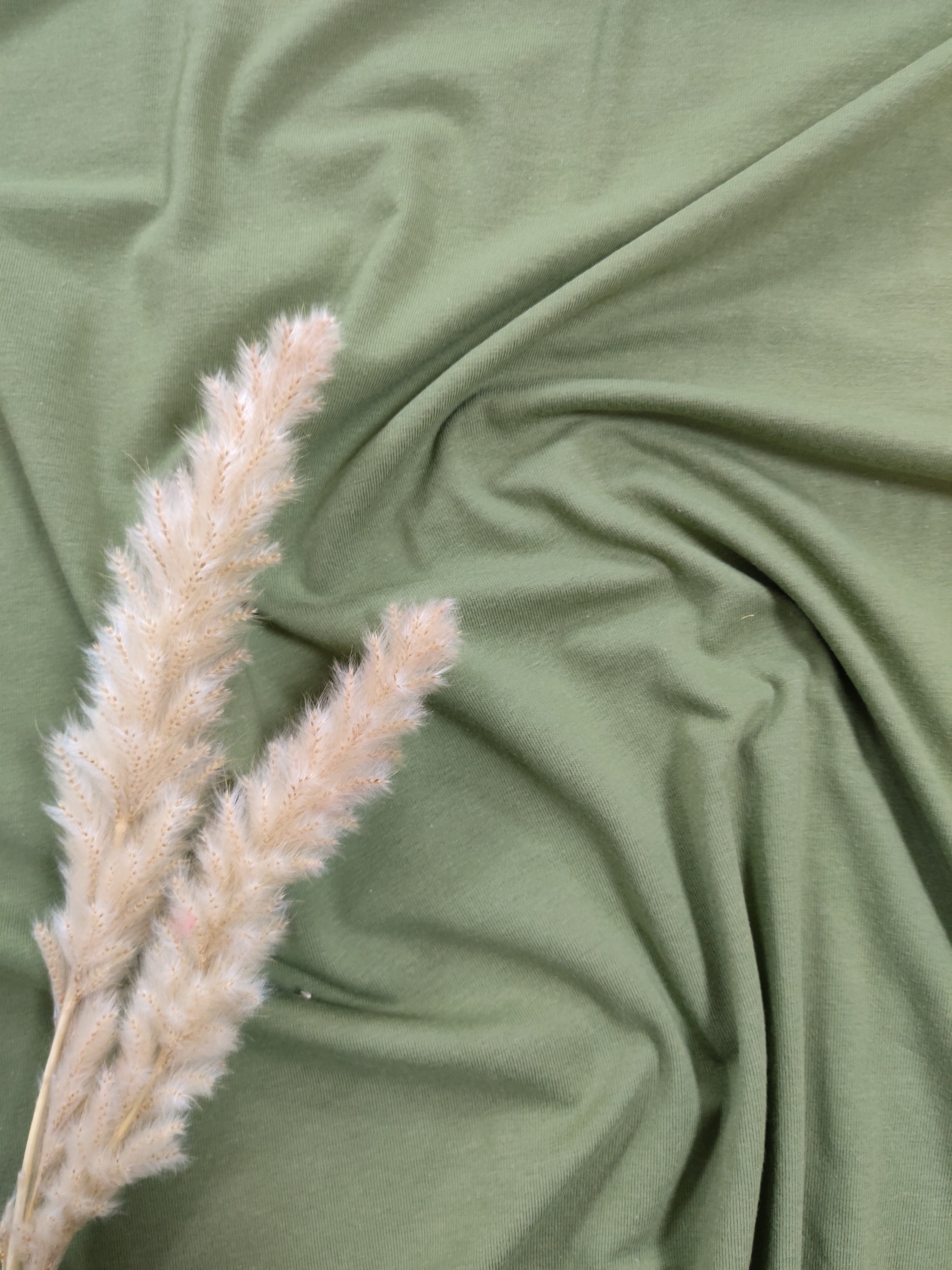 Jersey de coton BIO - Vert olive