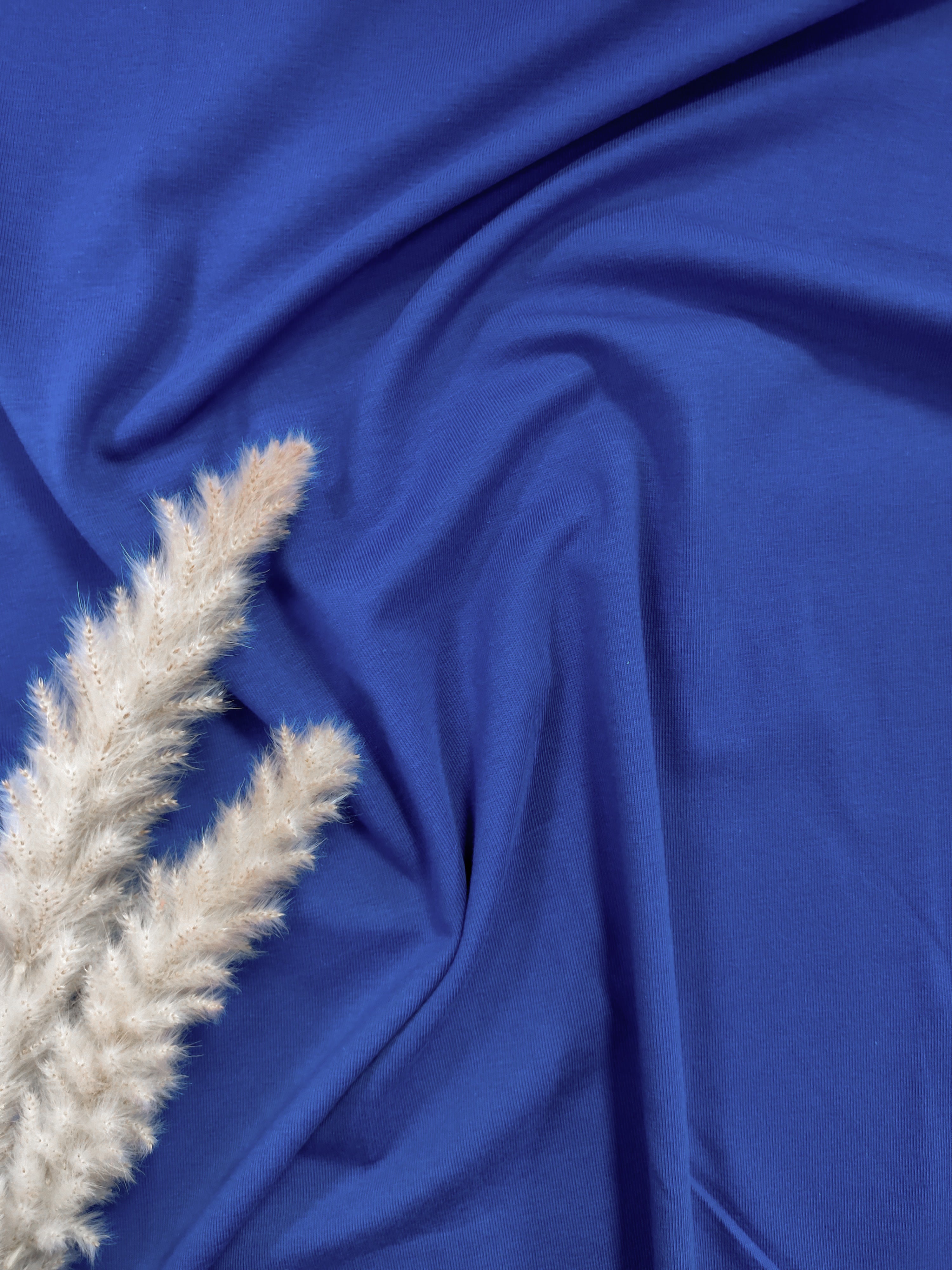 Jersey de coton BIO - Bleu roi