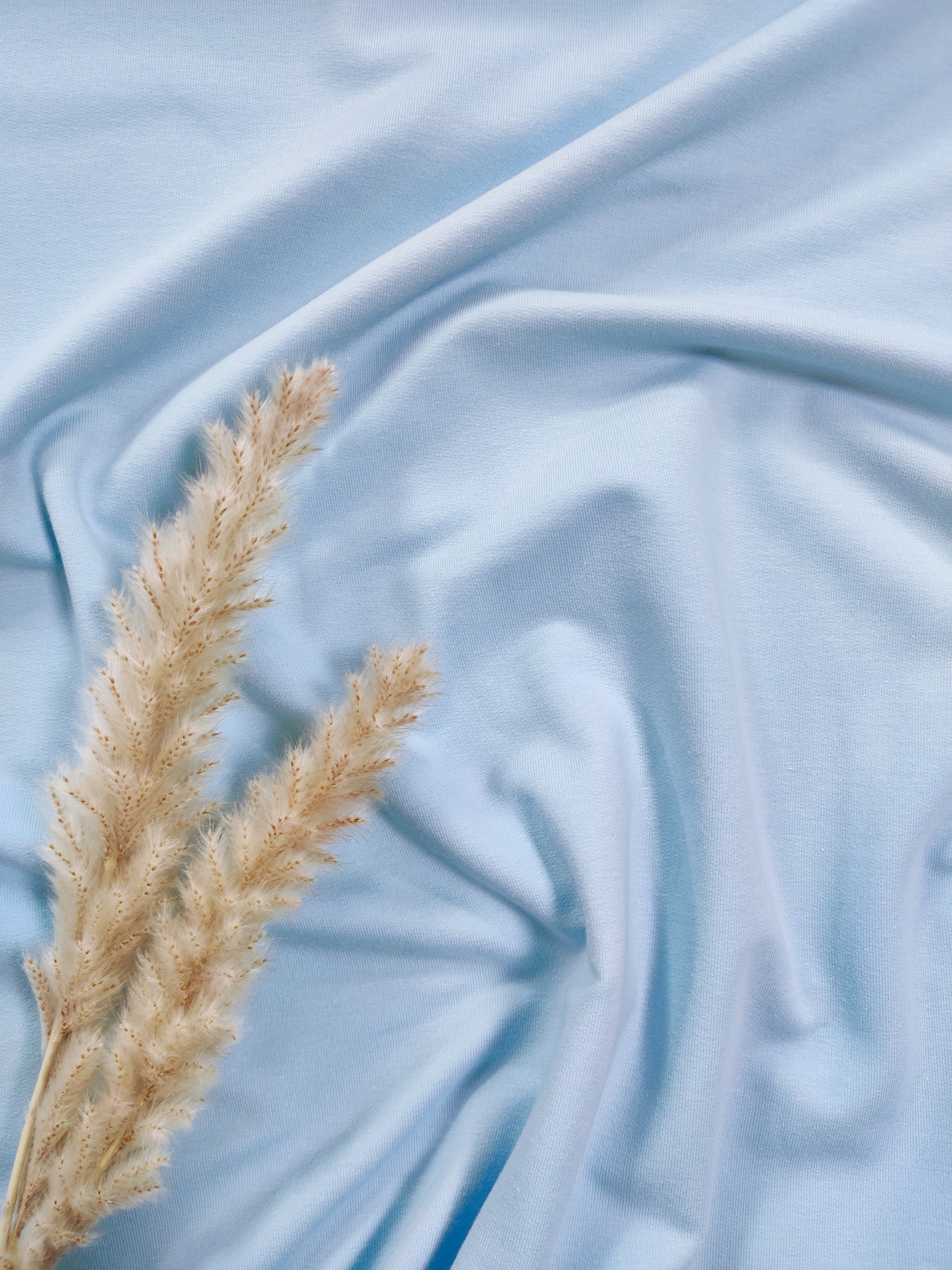 Jersey de coton BIO - Bleu ciel