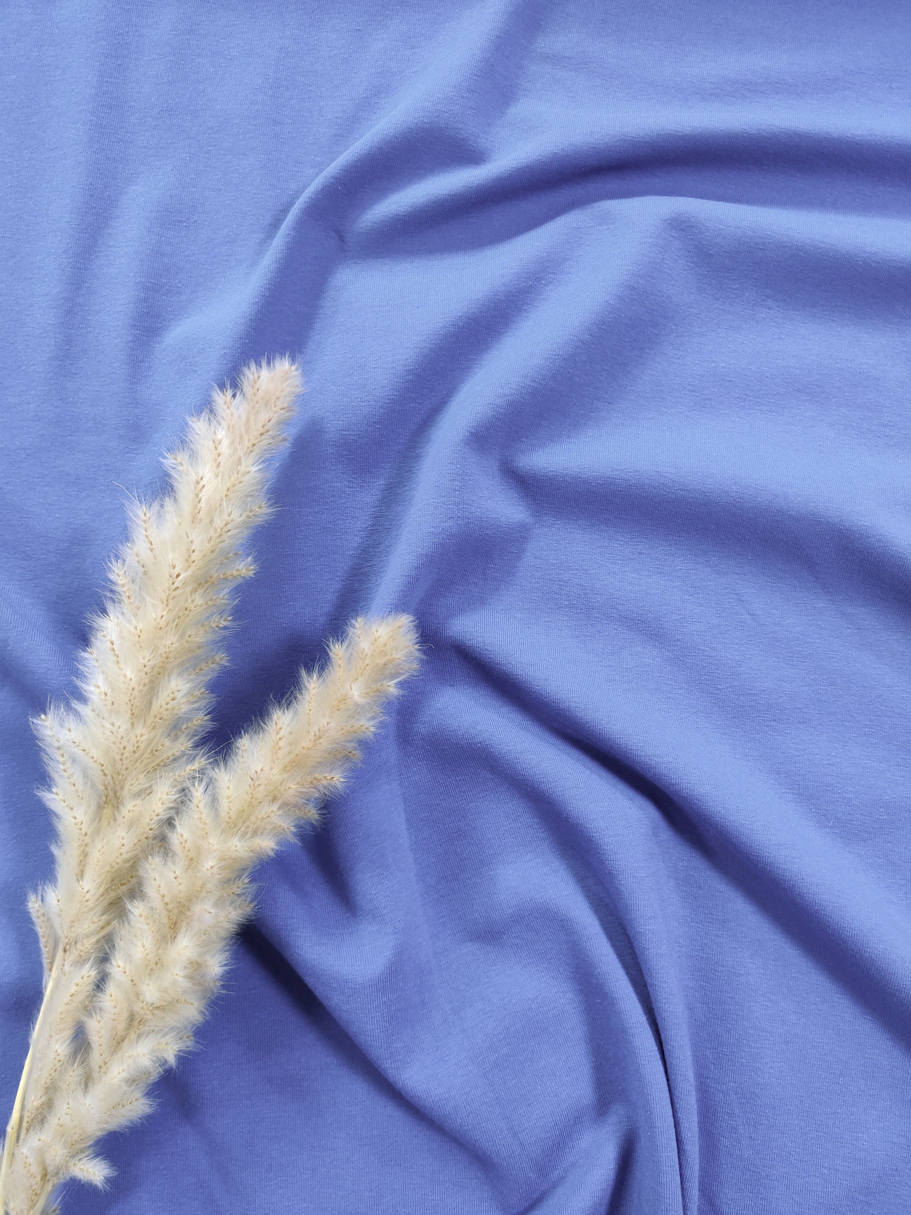 French terry BIO - bleu lavande
