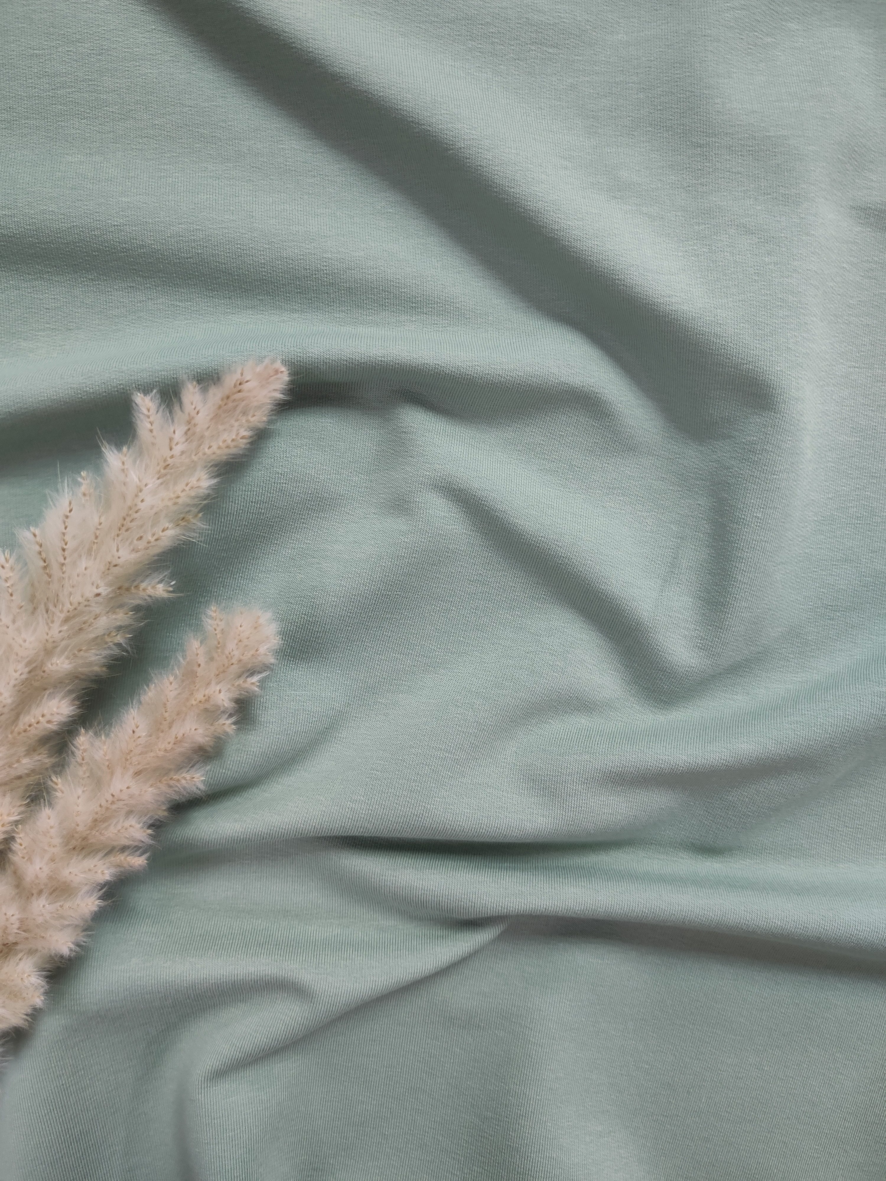 Bord-côte BIO - Vert de gris