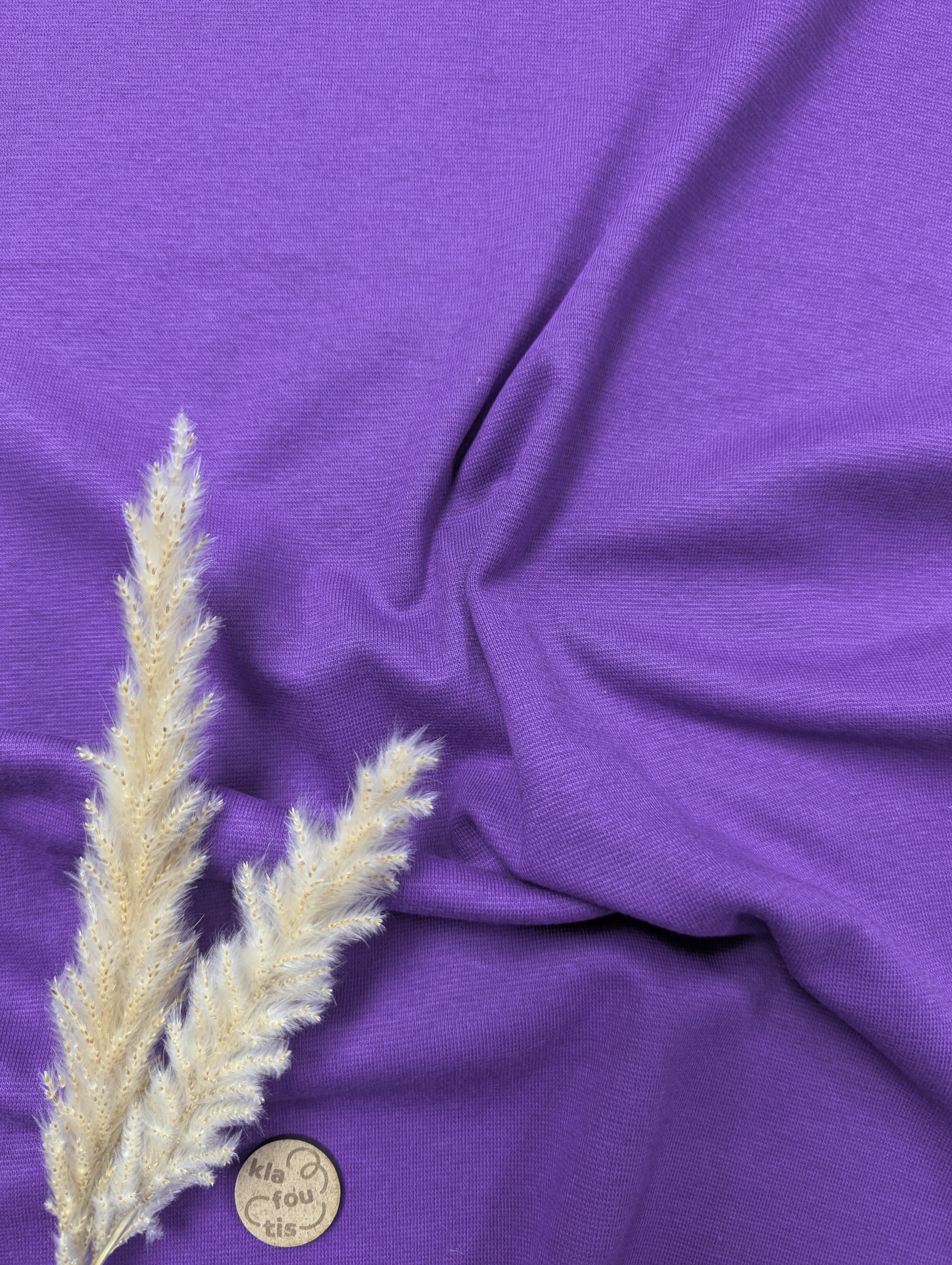 Bord-côte - Violet