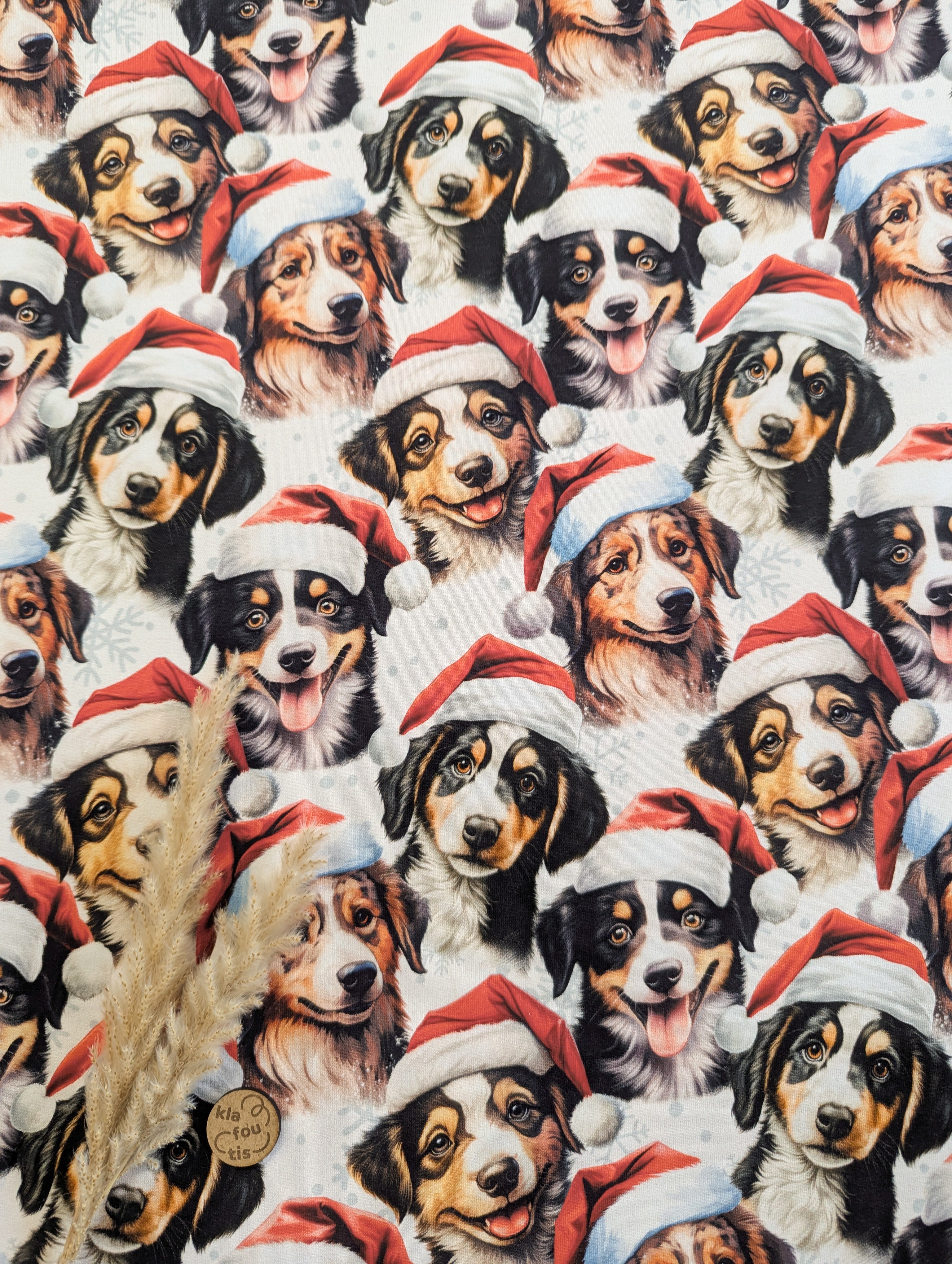 French Terry de Noël écru - Noël canin