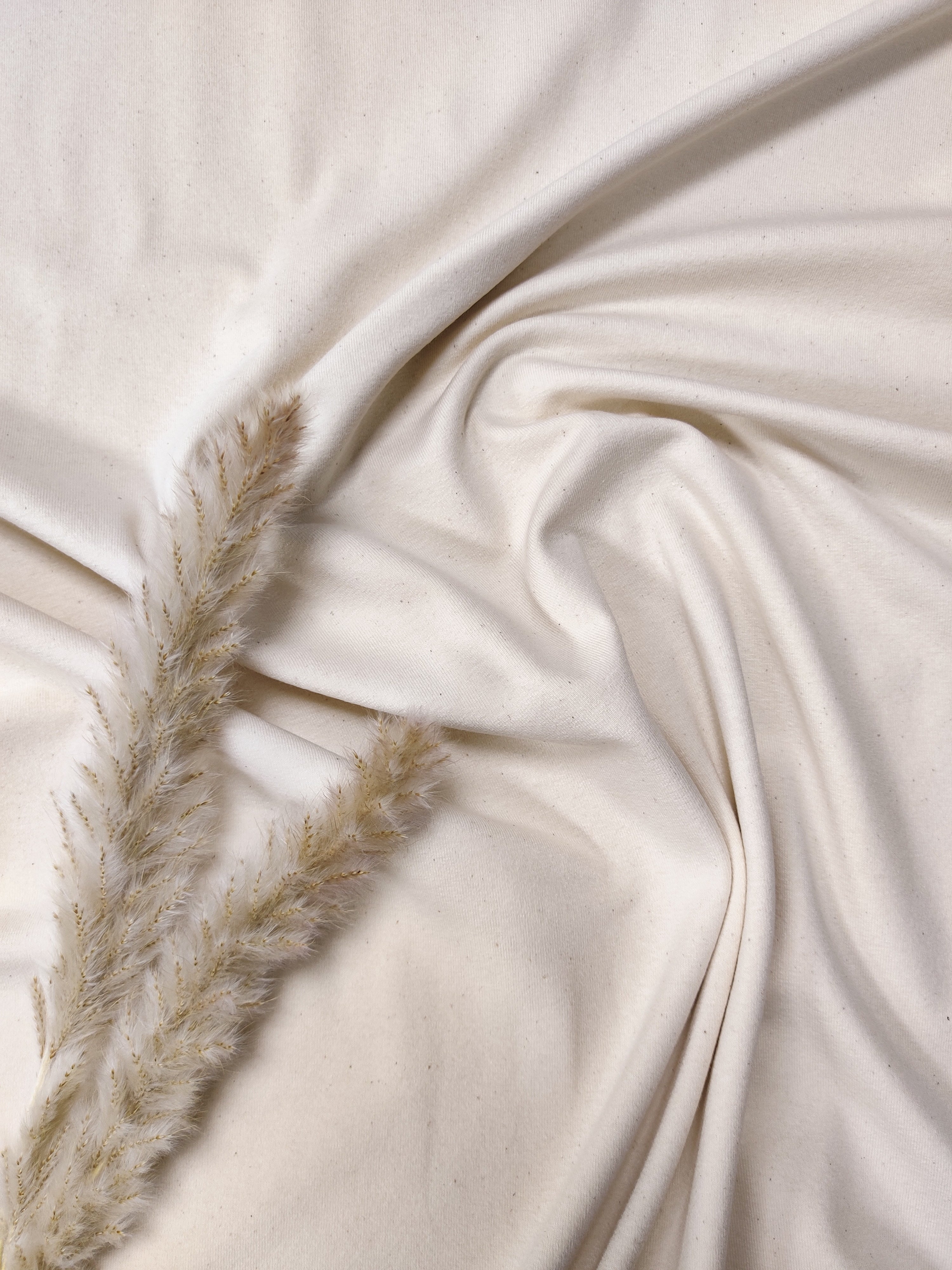 Jersey de coton BIO - Beige naturel